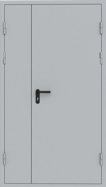 Техническая дверь 2TF4